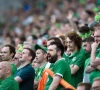 Cette fois-ci, les supporters irlandais abîment une voiture mais... (vidéo)