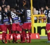 Pule Maraisane très proche de Mouscron