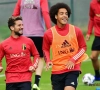 Dries Mertens et Axel Witsel de retour chez les Diables Rouges ? Tedesco...fait du Tedesco