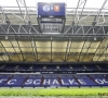 Miron Muslic et Moussa N'diaye réussissent où Wilmots avait échoué : Schalke 04 retrouve la Bundesliga 