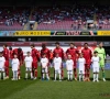 Voici qui devrait devenir le nouvel entraîneur de Zulte Waregem 