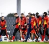 Le Borussia Dortmund prêt à recruter un autre Diable Rouge après sa grosse saison en Ligue 1