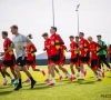Deux Diables Rouges absents pour le dernier entraînement avant le départ pour la Croatie