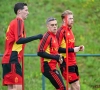Quel rôle pour Hans Vanaken à la Coupe du monde ? Un ancien Diable Rouge se positionne