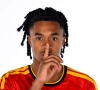 "Nous voulons aussi gagner cette finale" : les Diablotins rêvent du sacre à l'Euro U17
