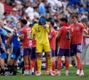 "Ce n'est qu'une question d'argent" : une nouvelle règle de la FIFA frustre les supporters européens