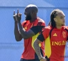 Il est mort de faim : voilà le plan autour de Romelu Lukaku pour la suite du tournoi