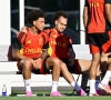 Arthur Theate remplacera-t-il Nathan Ngoy face à la Nouvelle-Zélande ?