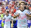 Ils méritent des éloges : les cotes de Diables courageux après Espagne-Belgique