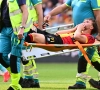 Sortie sur civière et fin de saison, déjà, pour une recrue de Malines ? "C'est un cauchemar"
