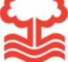 Nottingham Forest: Davies nommé
