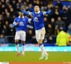 Everton s'incline malgré un but de Mirallas