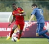 Origi et Januzaj iront au Brésil !