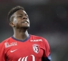 Mike Origi: "Divock est le futur des Diables rouges"