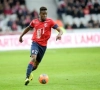 Lille en Ligue des Champions