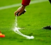 La Ligue 1 adopte le vanishing spray