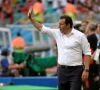 Wilmots: "Les places d'honneur ne m'intéressent pas"
