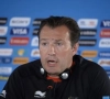 Marc Wilmots: " Je sais comment prendre l'Argentine "