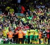 Norwich retrouve la Premier League