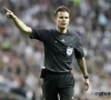 Felix Brych au sifflet pour Belgique-Finlande 