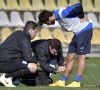 Le Racing Genk fait le ménage dans son staff 