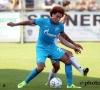 Witsel: les exigences du Zenit revues à la baisse ?