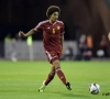 Wilmots : "Witsel jouera dans le même rôle"