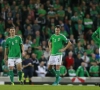 Marc Wilson (Irlande) n'ira pas à l'Euro