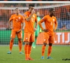 Les Pays-Bas sans Van Persie