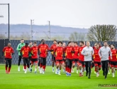 Les Diables Rouges, gros test pour les USA : "Je pronostique un match nul !"