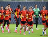 LIVE Coupe du monde : le team-building des Diables avec Kev Adams annulé