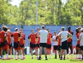 Officiel : un Diable Rouge quitte son club en pleine Coupe du monde
