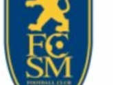 Mevlut Erding restera en Ligue 1