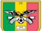 CAN 2012 : le Mali bat la Guinée