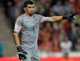 Ryan absent en janvier, Dioudis ou Kujovic pour le remplacer?