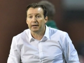 Wilmots: "Pas de raison de paniquer"