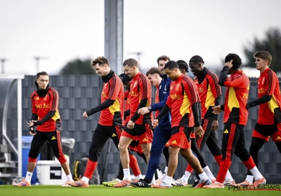 Le Borussia Dortmund prêt à recruter un autre Diable Rouge après sa grosse saison en Ligue 1