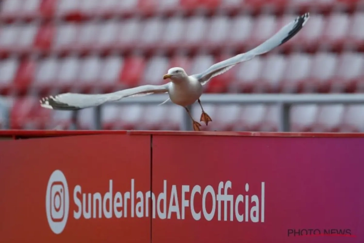 Sunderland nomme un spécialiste de la promotion comme nouveau manager