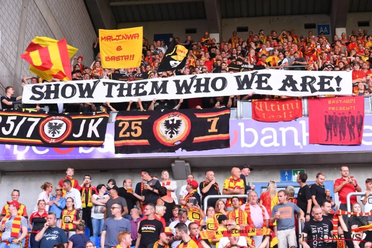 Malines, un animal blessé dont il faudra se méfier ? "Ils voudront faire leurs preuves"