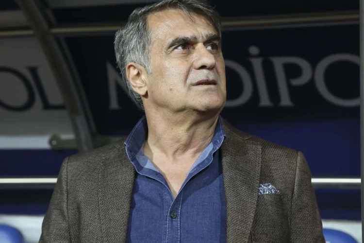 Le sélectionneur de la Turquie s'est adressé aux fans avant le match contre la France