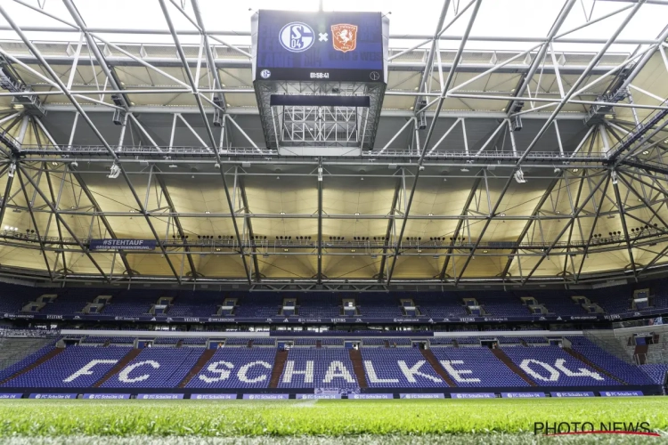 Miron Muslic et Moussa N'diaye réussissent où Wilmots avait échoué : Schalke 04 retrouve la Bundesliga 