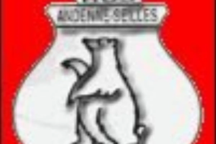 Case rebondit à Andenne