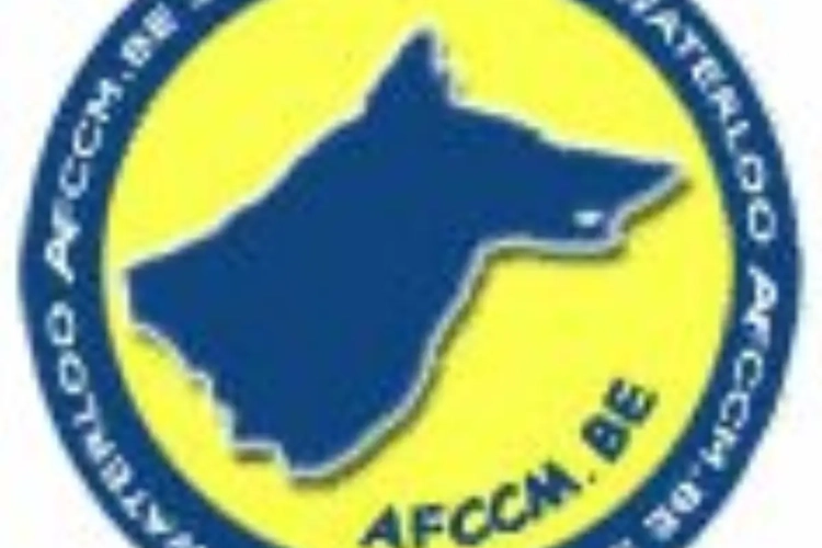 De nombreuses arrivées à Waterloo