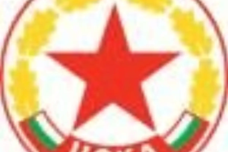 Michel Platini : le transfert fou!