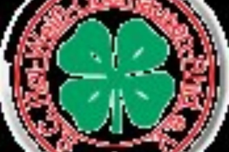 De Cock a peut-être trouvé chaussure à son pied