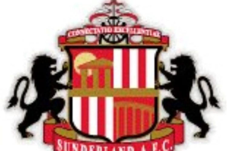 Djibril CissÃ© offre la victoire Ã  Sunderland