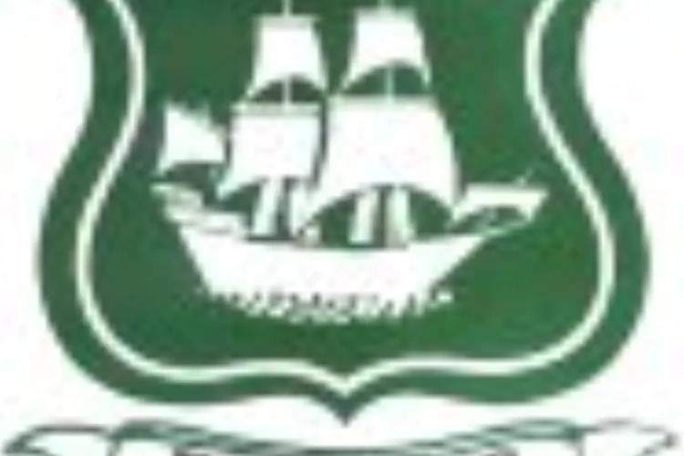 Mpenza retrouve doucement ses marques