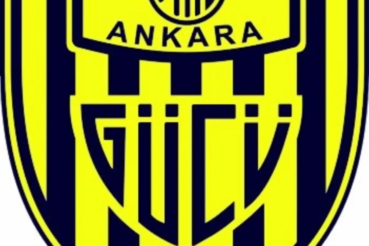 Le coach d'Ankaragucu tabasse un supporter