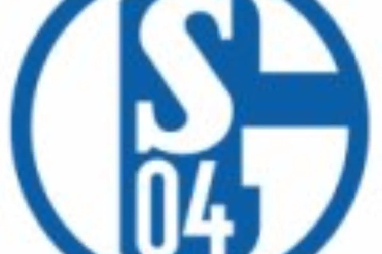 Schalke élimine Timmy Simons
