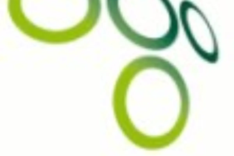 Le Brussels transfère à tout va